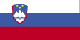 flag of slovenia